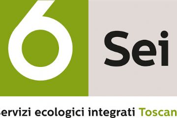 Chiusi gli sportelli di SEI Toscana