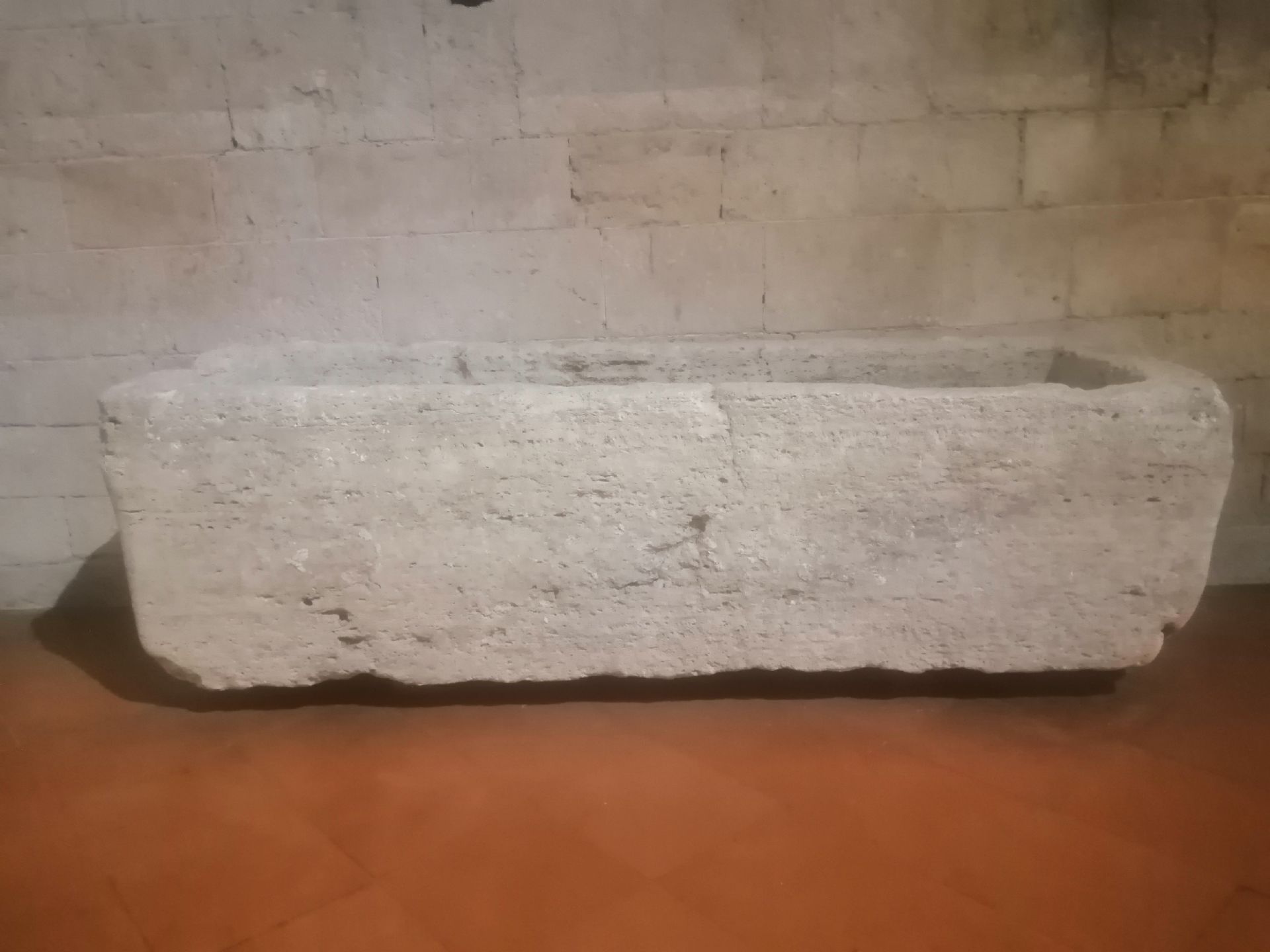 Sarcofago trovato a Scorgiano