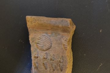 Frammento di matrice utilizzata per la produzione di forme aperte (ciotole e catini) con doppia decorazione di tipo vegetale in negativo<br>Fragment of a mold used for the production of open shapes (bowls and basins) with double negative vegetal decoration